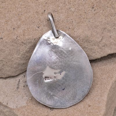 Bearclaw Pendant with Onyx  Stone