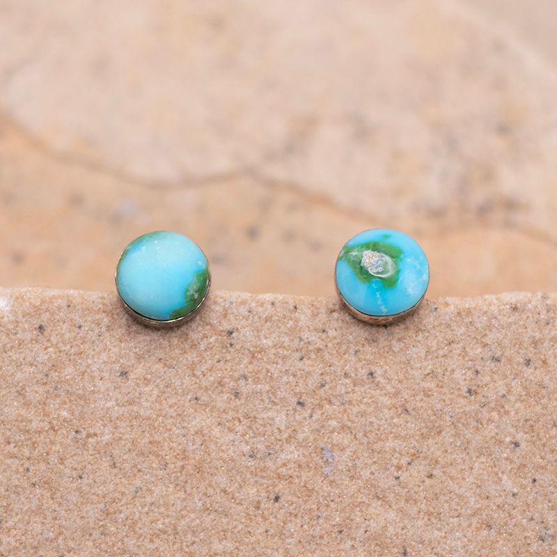 Medium Post Sonoran Gold Earrings