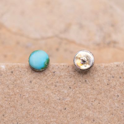 Medium Post Sonoran Gold Earrings