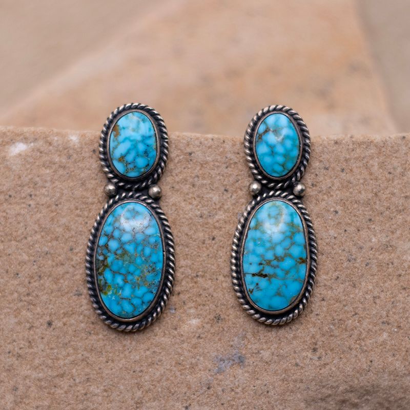 Two Stone Drop Waterweb Turquoise Earrings