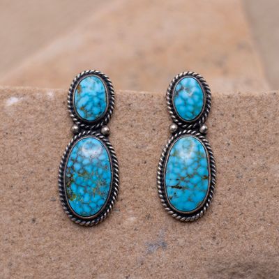 Two Stone Drop Waterweb Turquoise Earrings