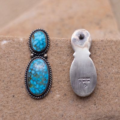 Two Stone Drop Waterweb Turquoise Earrings