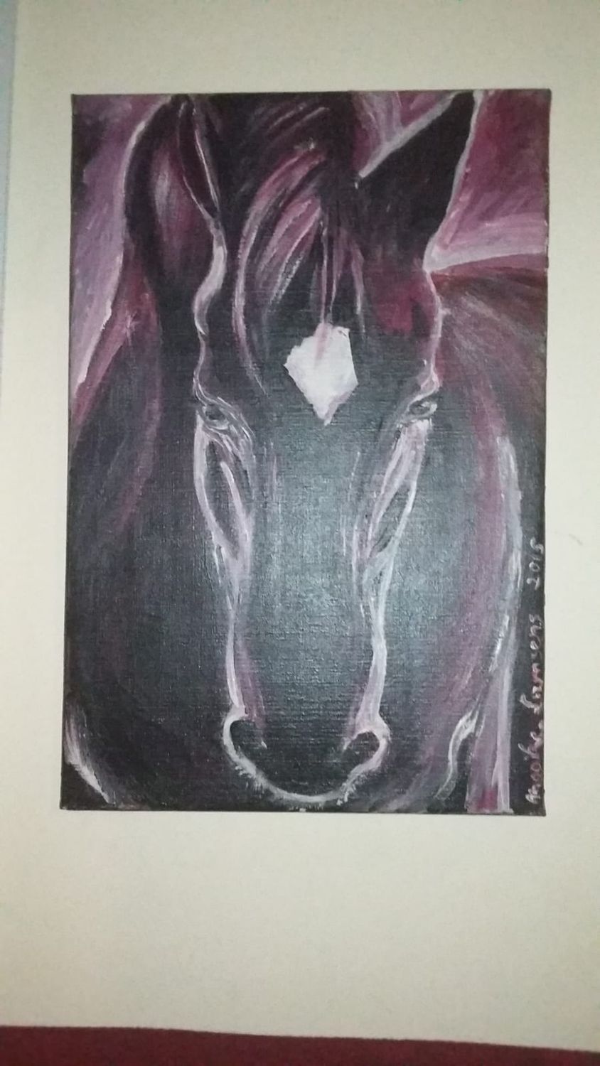Het paard - Acrylic op VLasdoek - 60 cm op 40 cm