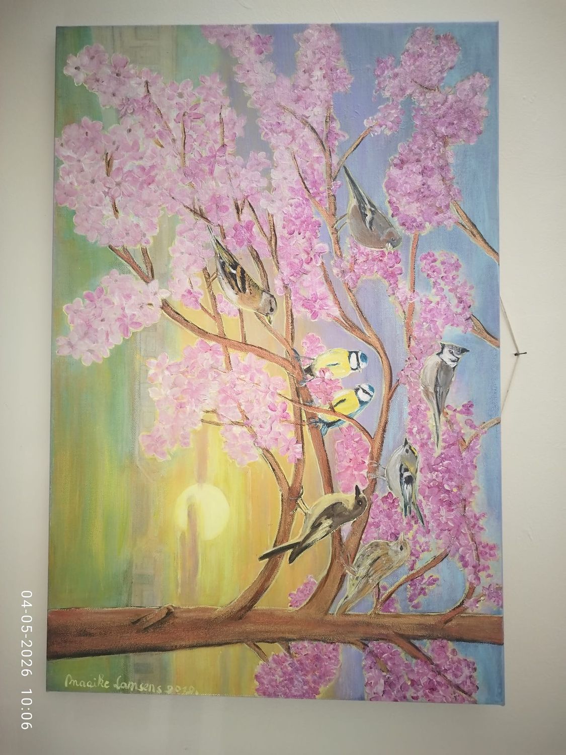 De vergadering der Belgische lofprijsvogels