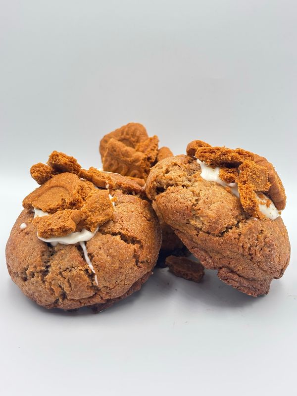 Gevulde speculaas koek (100g)