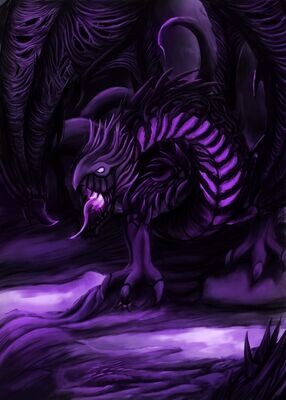 Shadow dragon
