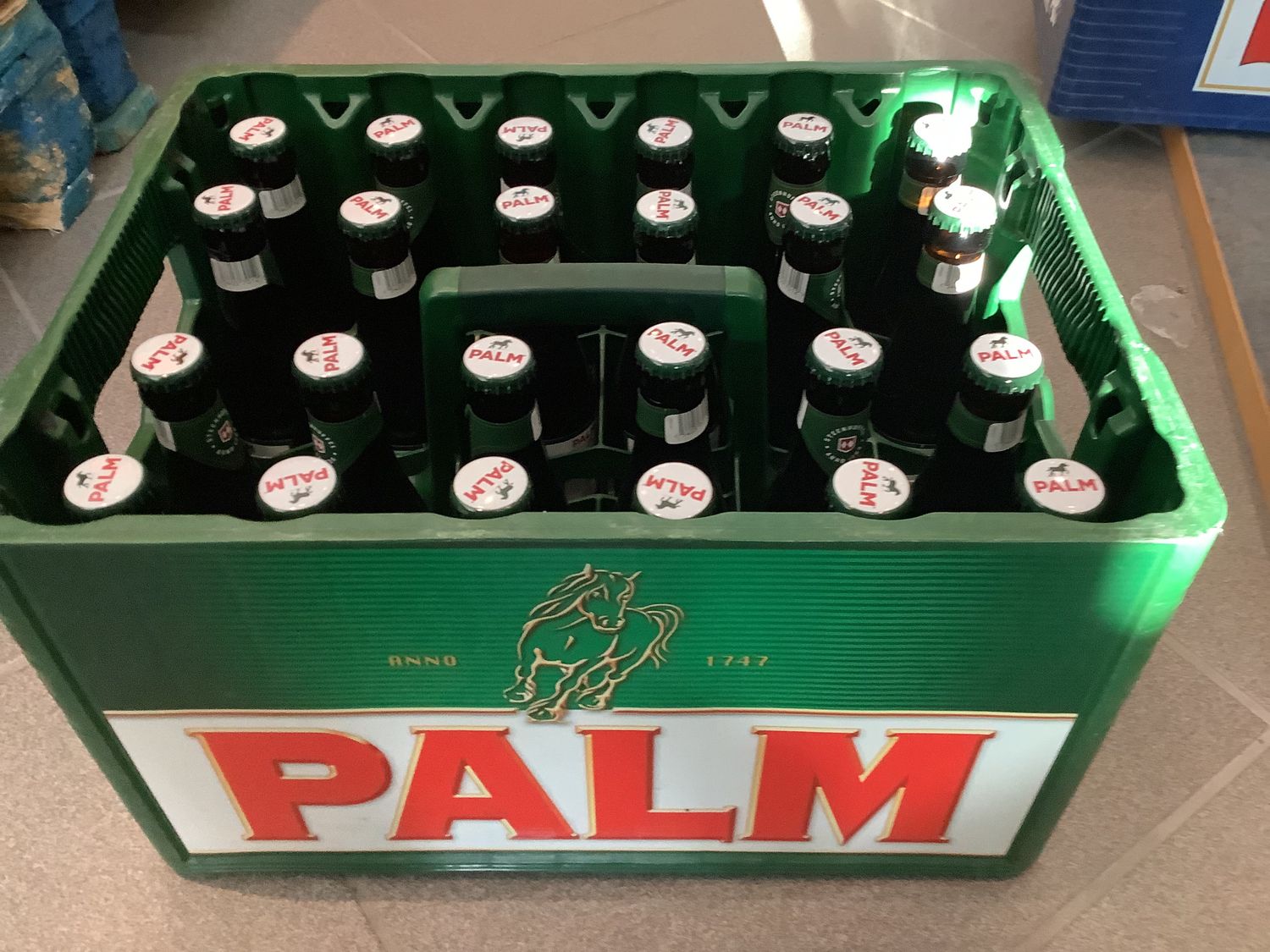Palm 24 x 25 cl