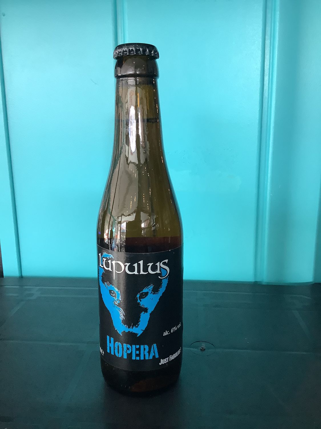 Lupilus hopera 33 cl