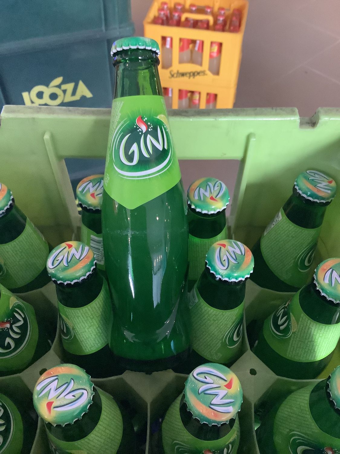 Gini 24 x 20 cl