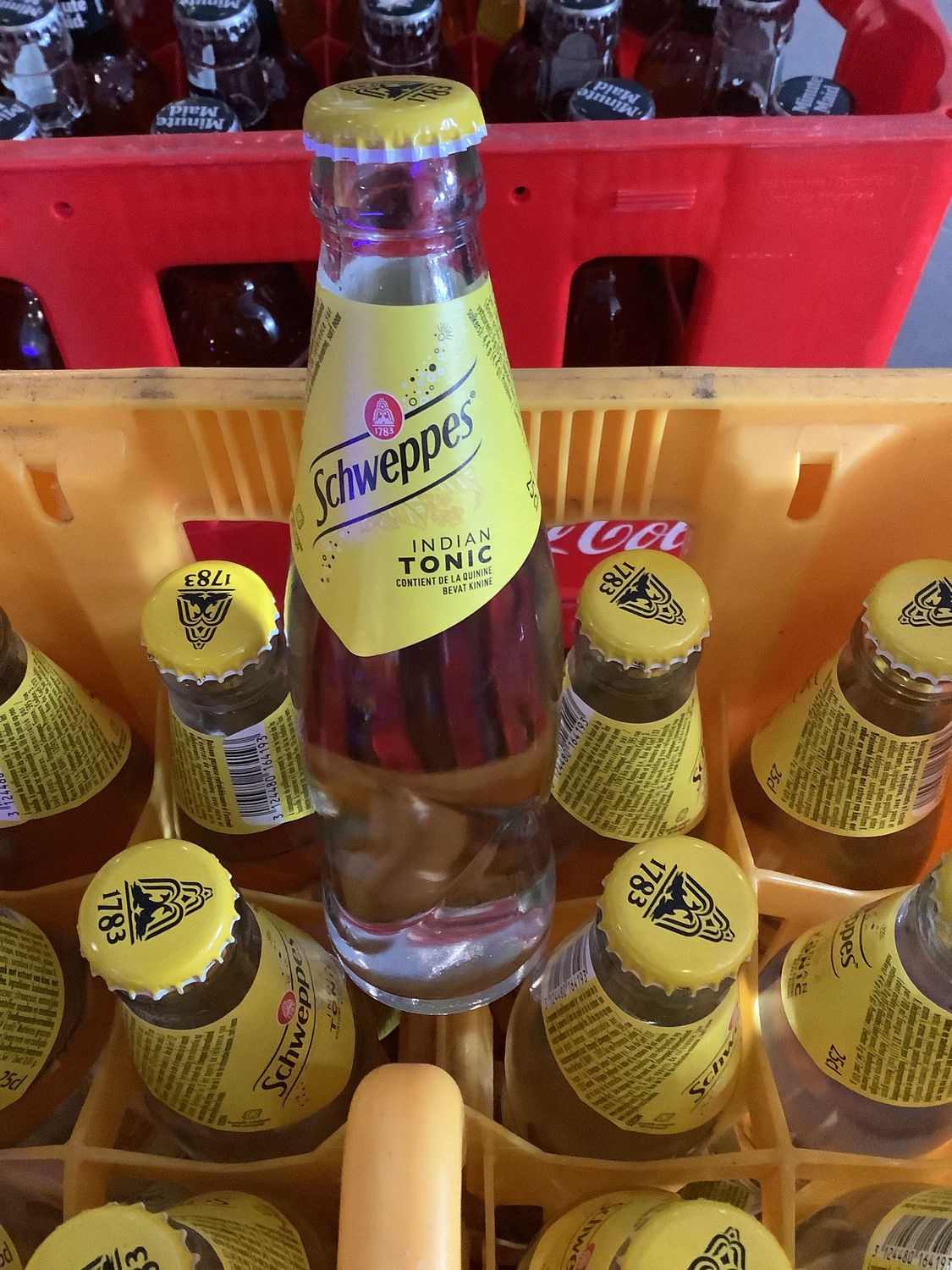 Schweppes tonic 24x 25 cl