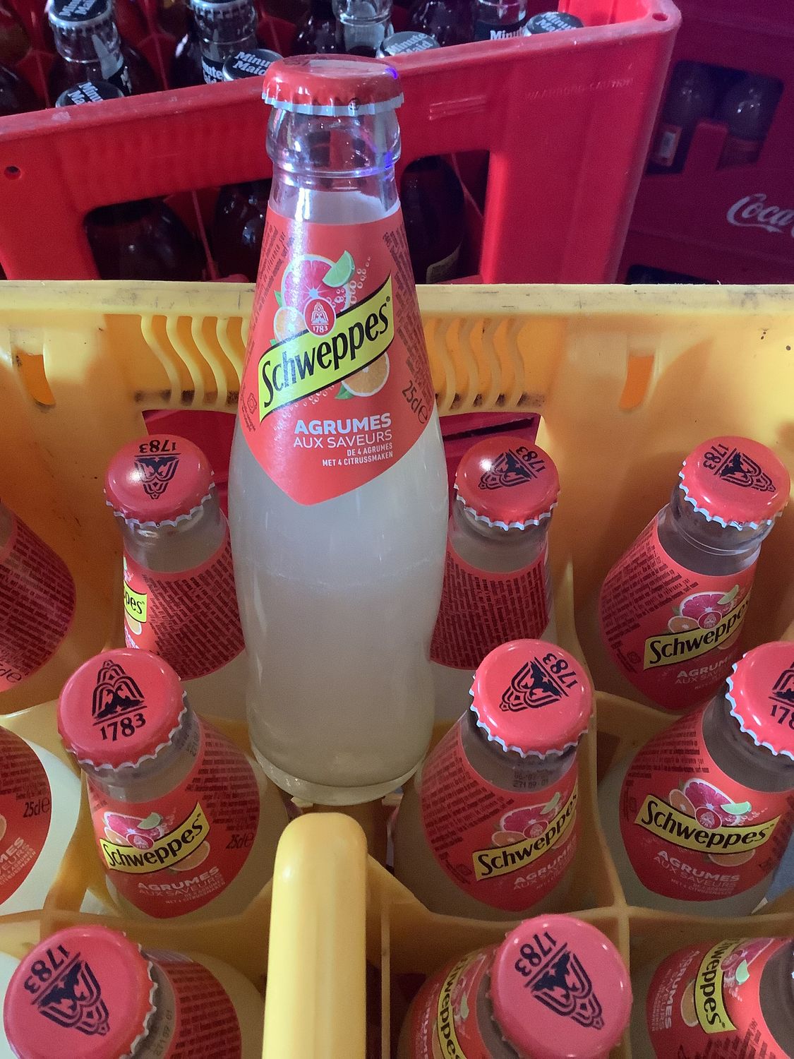 Schweppes agrumes 24 x 25 cl