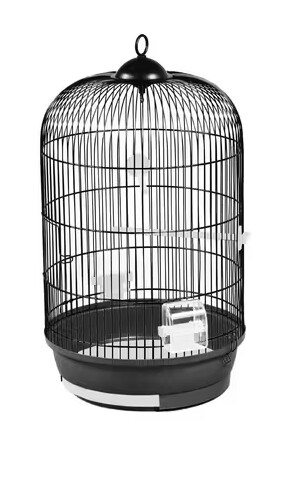 Vogelkooi