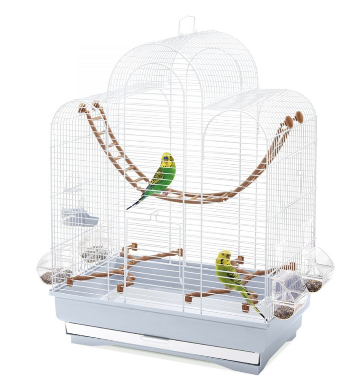 Vogelkooi Fiona