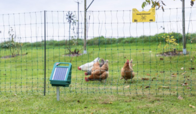 Kippendraad alles-in-1 kit (solar)