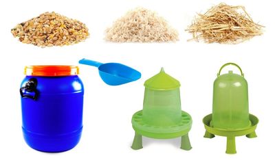 Starter Kit Kip