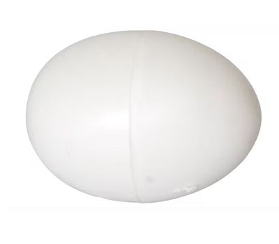 Plastic Eieren
