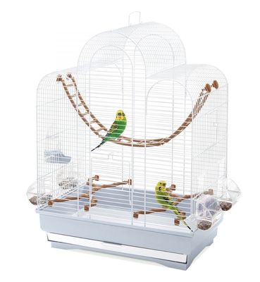 Vogelkooi Fiona
