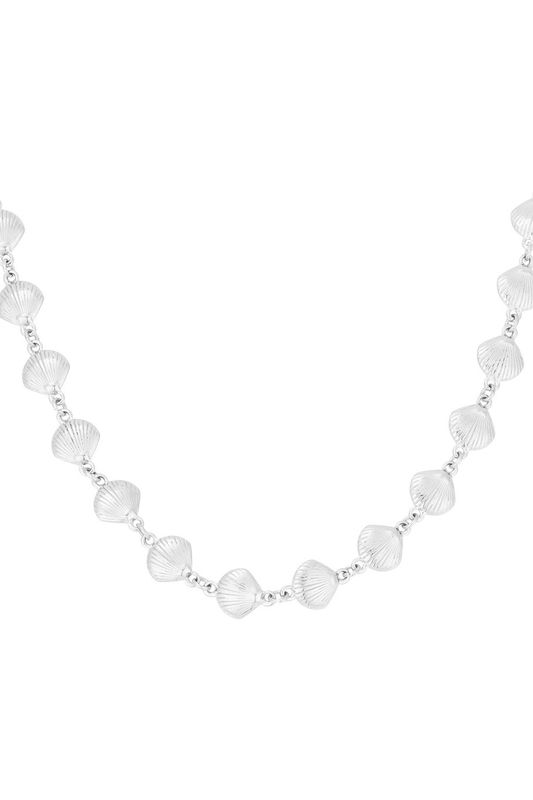 Shell necklace - zilver