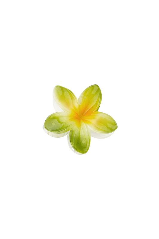 Hawaiian dream hair clip - groen