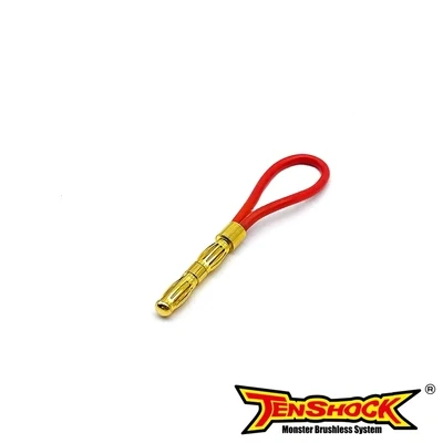 Safety loop plug