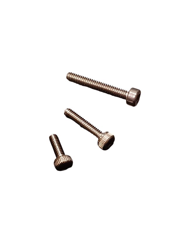 Screw ALLEN M2 (2pcs)