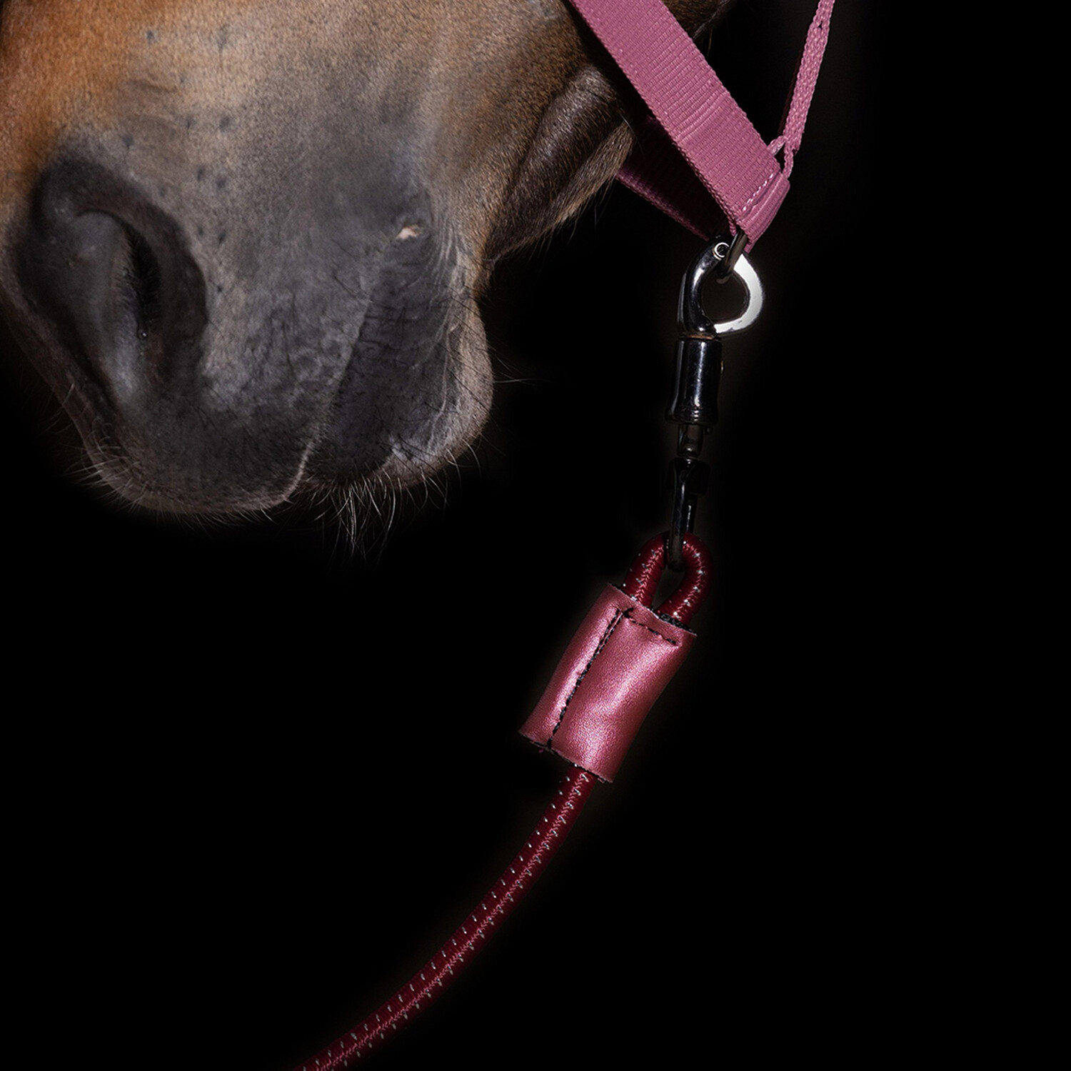 Trailerlijn Elastisch Dark Rosy 120cm