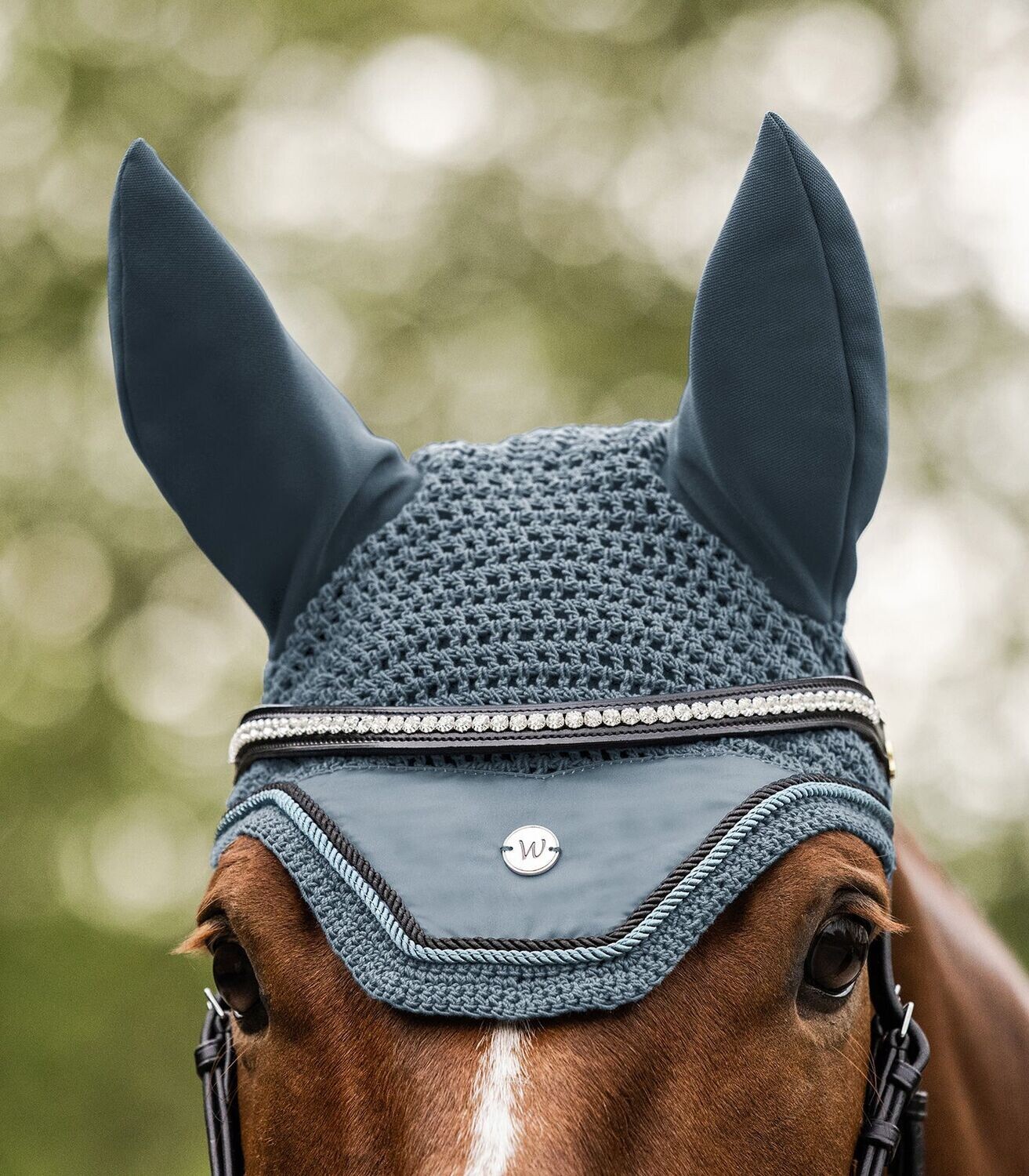 Oornetje Pegasus Chalkblue