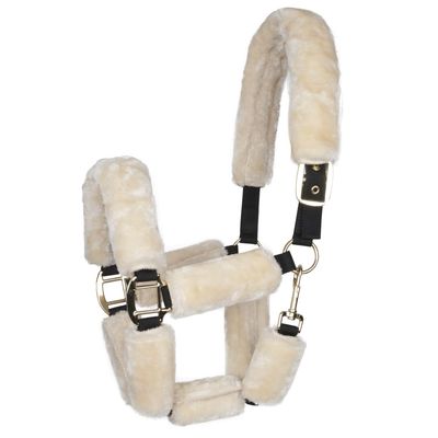 Halster Teddy Pony