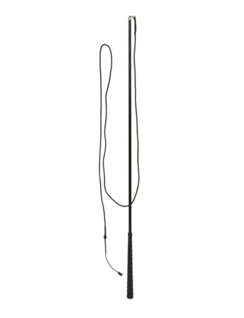 Telescoop Longeerzweep 2m.