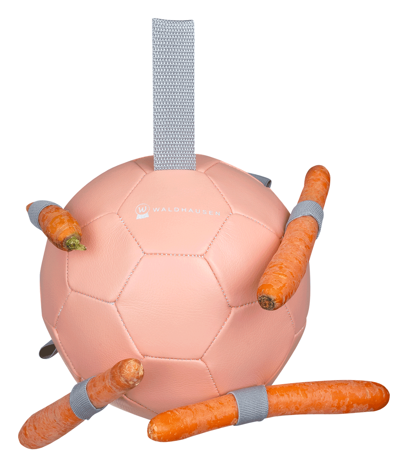 Wortelbal