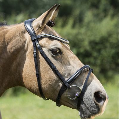 LJ Hoofdstel Iris Gecombineerde Neusriem Bruin Full