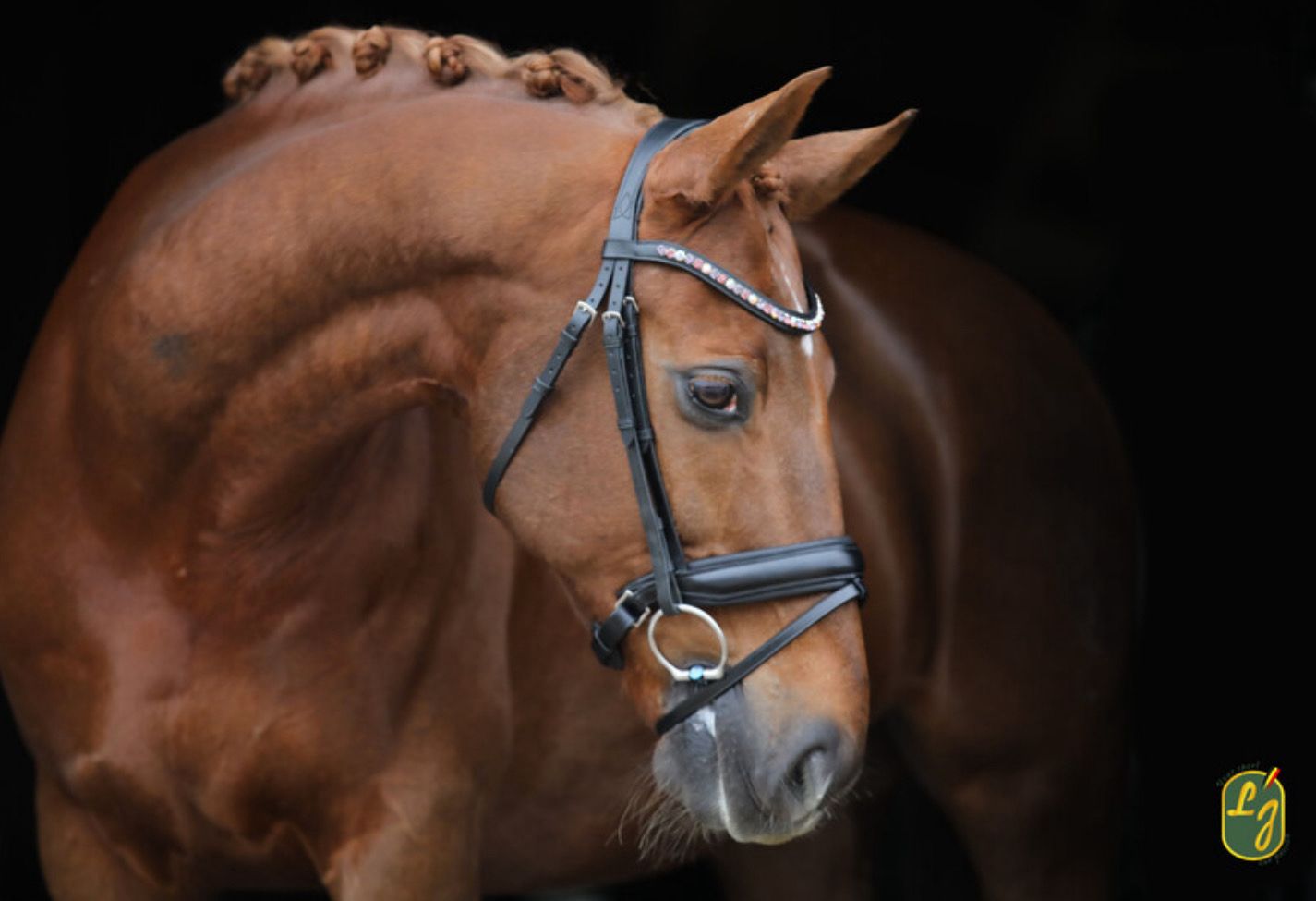 Lj Hoofdstel Brownie Diamond