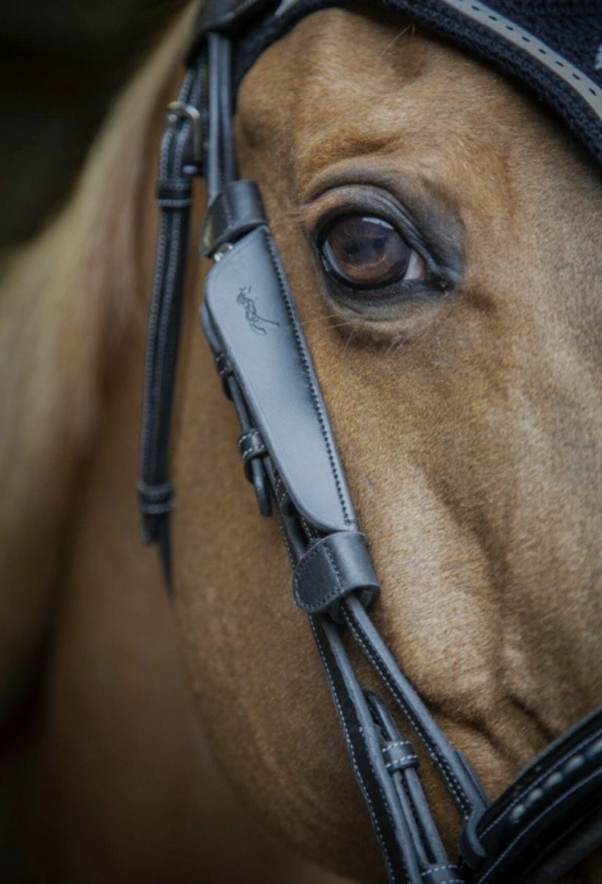 Blinkers 18 Cm.