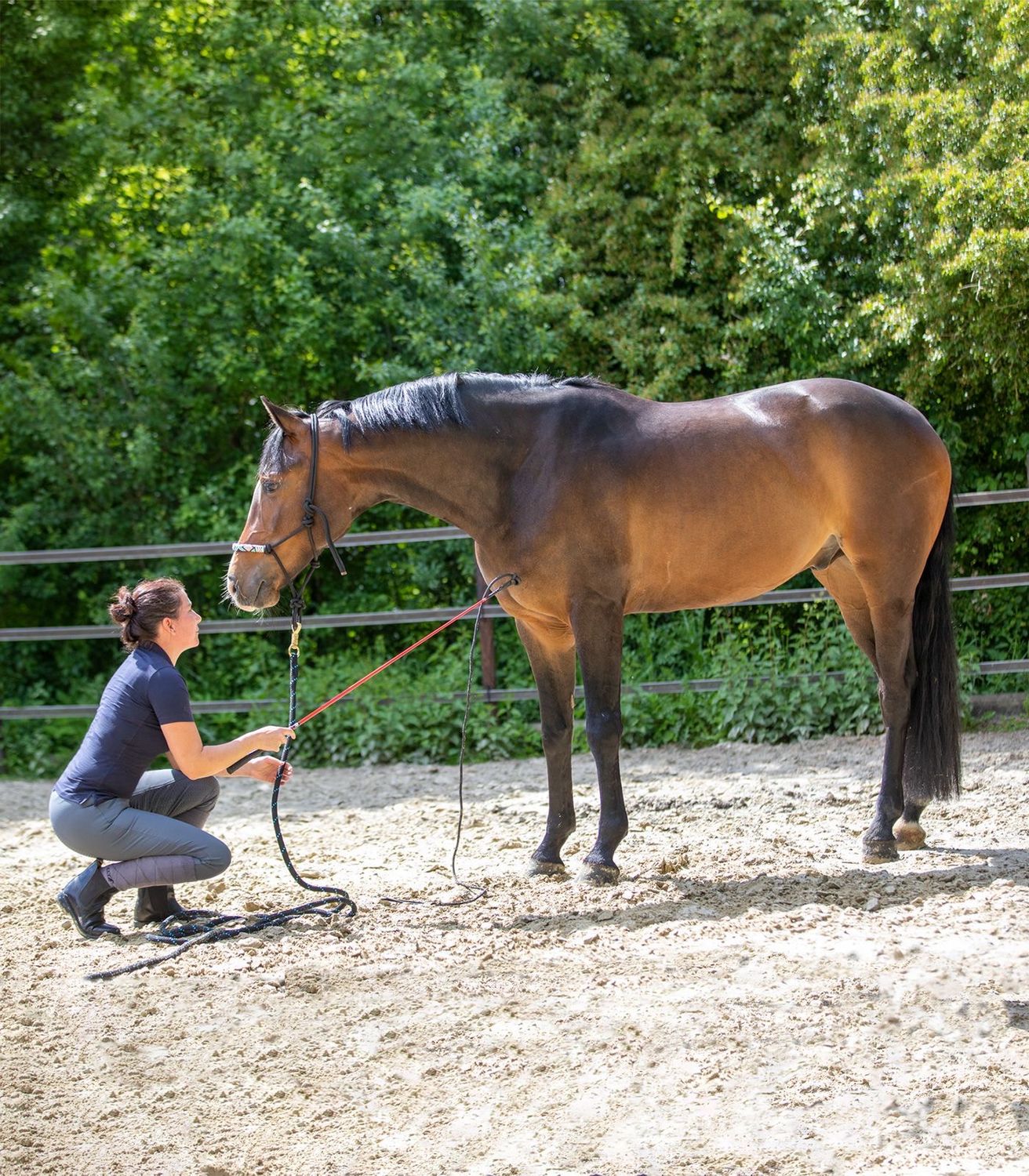 Horsemanship Stick