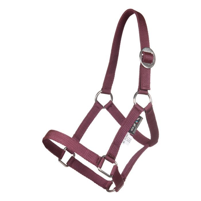 Halster mini shetter
