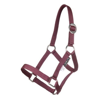 Halster mini shetter