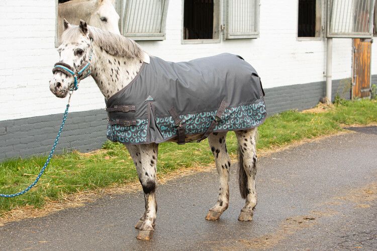 Regendeken Pony 200gr.