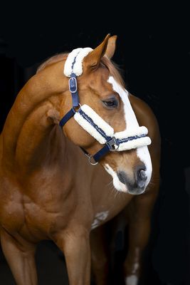Halsters met bont