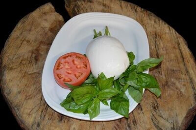 Homemade Fresh Mozzarella