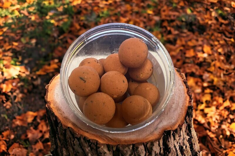 Hookbaits CF-Special