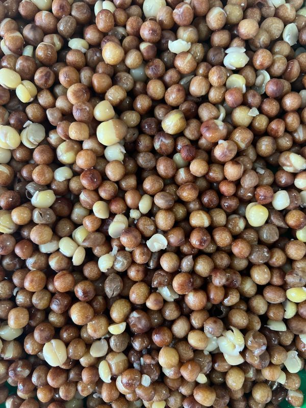 Maple peas 20kg