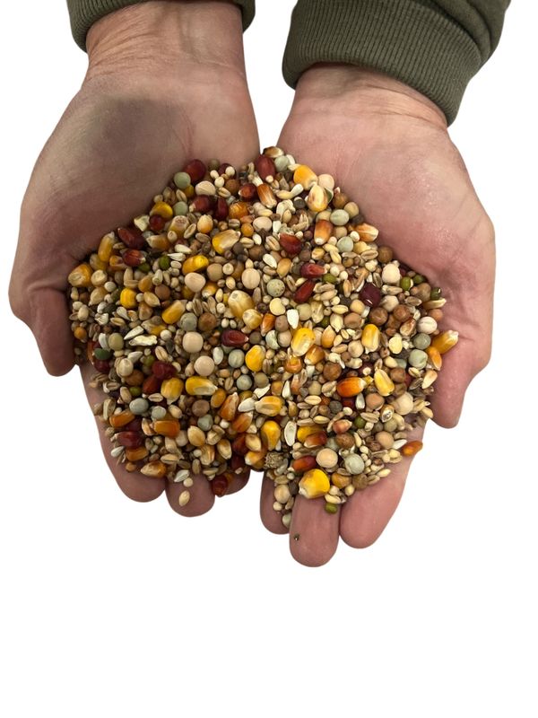 CF-partikel mix 5kg