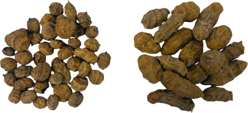 Tijgernoten XXL 1kg Tijgernoten XXL 1kg