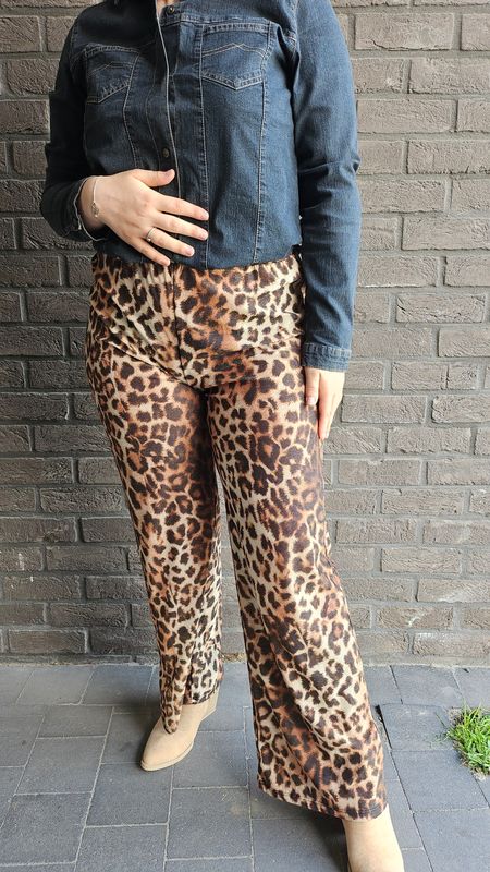Classy leopard