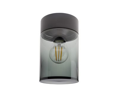Unibright Mystic Ceiling Plafondarmatuur IP65