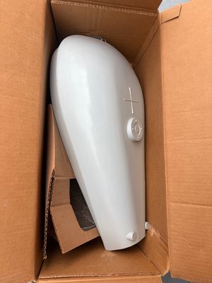GE M-250R2 Straatverlichting Nieuw
