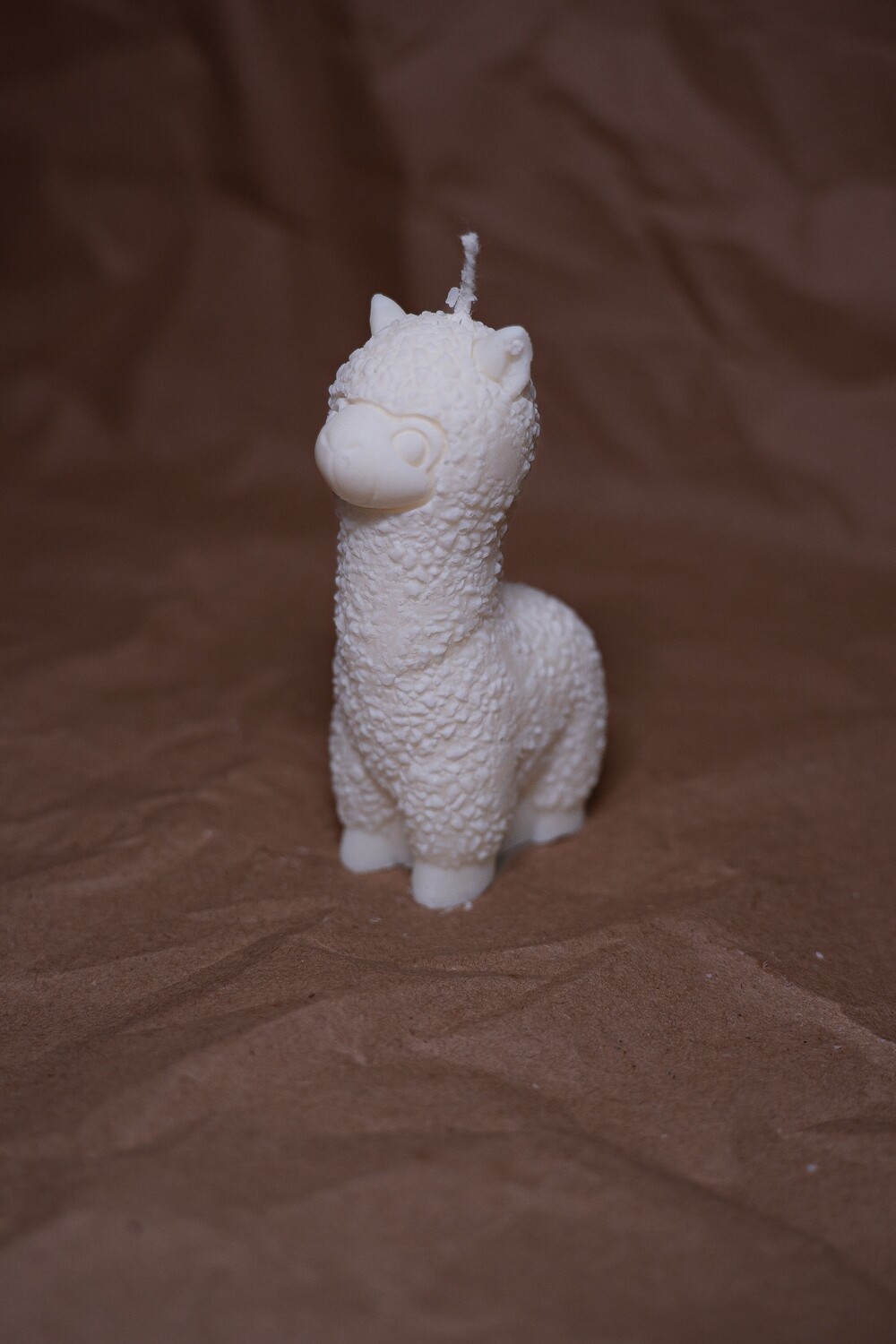 Alpaca
