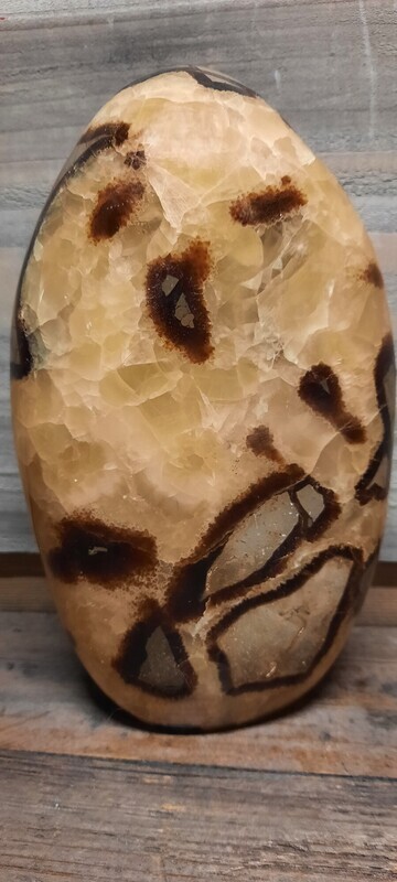 Septaria