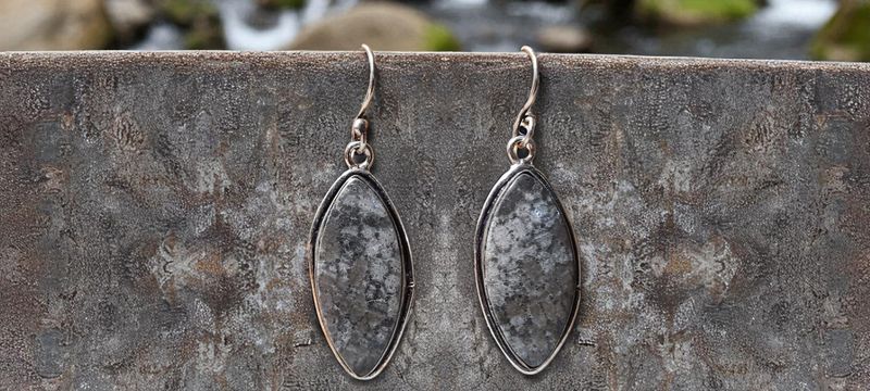 Handgemaakte oorbellen zilver op metaal met Zwart Fossiel Koraal