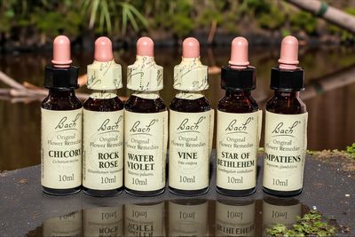 Uitpendelen Bachbloesems